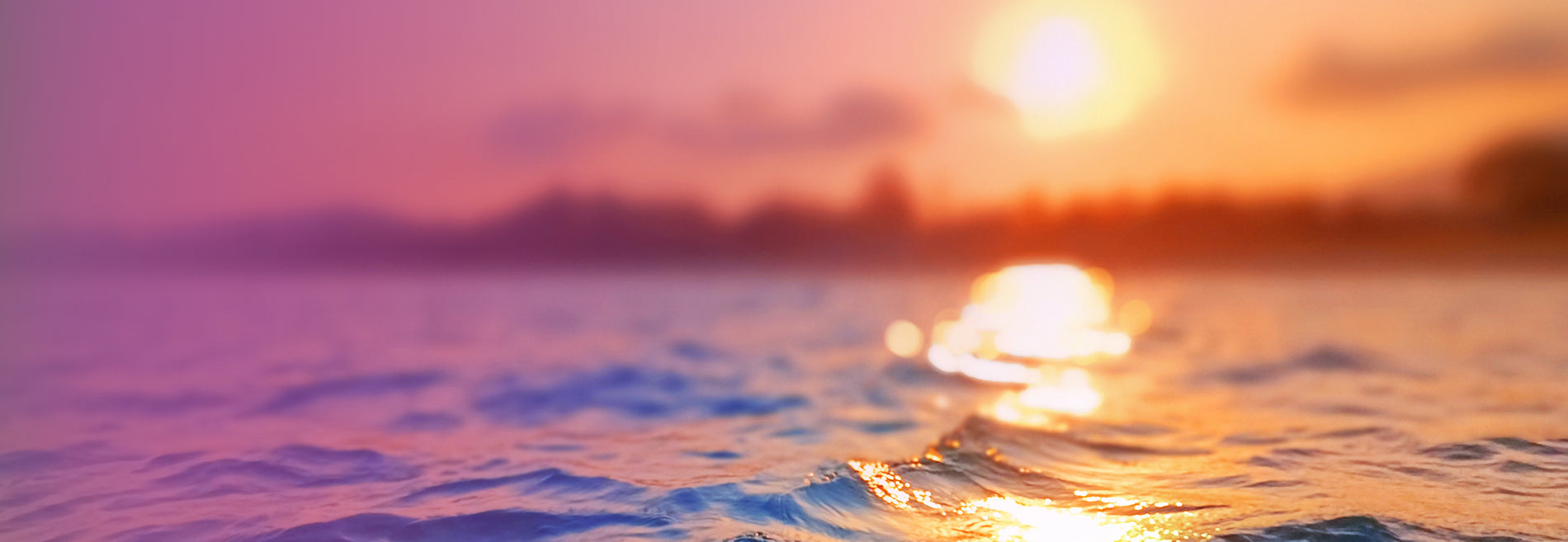 25na project phoenix island oasis web assets c 1128850 1900x657px 1